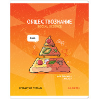 Тетрадь предметная 48л. ArtSpace "Не по правилам"- Обществознание, глянцевая ламинация, 10 штук, 344471 Тетрадь предметная 48л. ArtSpace "Не по правилам"- Обществознание, глянцевая ламинация, 10 штук, 344471