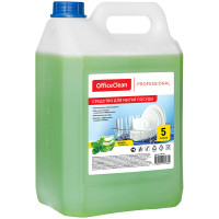 Средство для мытья посуды OfficeClean Professional "Алоэ и зеленый чай", канистра, 5л, 246164 Средство для мытья посуды OfficeClean Professional "Алоэ и зеленый чай", канистра, 5л, 246164