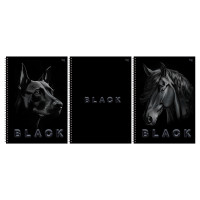 Тетрадь 80л., А4, клетка, на гребне BG "Just black", soft-touch ламинация, выб. лак, 3 штук, 378734 Тетрадь 80л., А4, клетка, на гребне BG "Just black", soft-touch ламинация, выб. лак, 3 штук, 378734