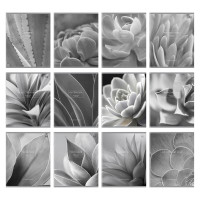 Комплект (12 шт.) предметных тетрадей 48л. BG "Succulents", матовая ламинация, 379722 Комплект (12 шт.) предметных тетрадей 48л. BG "Succulents", матовая ламинация, 379722