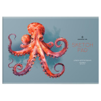 Альбом для рисования 24л., А4, на скрепке Greenwich Line "Octopus", 120г/м2, 8 штук, 367539 Альбом для рисования 24л., А4, на скрепке Greenwich Line "Octopus", 120г/м2, 8 штук, 367539