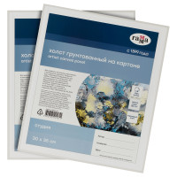Набор холстов на картоне Гамма "Студия", 2шт., 30*35см, 100% хлопок, 280г/м2, мелкое зерно, 390361 Набор холстов на картоне Гамма "Студия", 2шт., 30*35см, 100% хлопок, 280г/м2, мелкое зерно, 390361