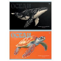 Альбом для рисования 32л., А4, на скрепке BG "Ocean", 12 штук, 378688 Альбом для рисования 32л., А4, на скрепке BG "Ocean", 12 штук, 378688
