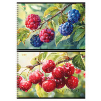 Альбом для рисования 32л., А4, на гребне BG "Botanical", 12 штук, 378708 Альбом для рисования 32л., А4, на гребне BG "Botanical", 12 штук, 378708