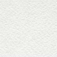 Бумага рисовальная акварельная, А1, ЛенГознак, 610*860, 200г/м2, по 100л., 100 штук, 246257 Бумага рисовальная акварельная, А1, ЛенГознак, 610*860, 200г/м2, по 100л., 100 штук, 246257