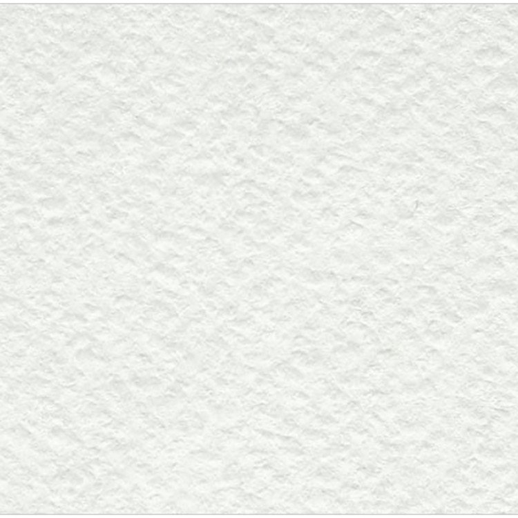 Бумага рисовальная акварельная, А1, ЛенГознак, 610*860, 200г/м2, по 100л., 100 штук, 246257 Бумага рисовальная акварельная, А1, ЛенГознак, 610*860, 200г/м2, по 100л., 100 штук, 246257