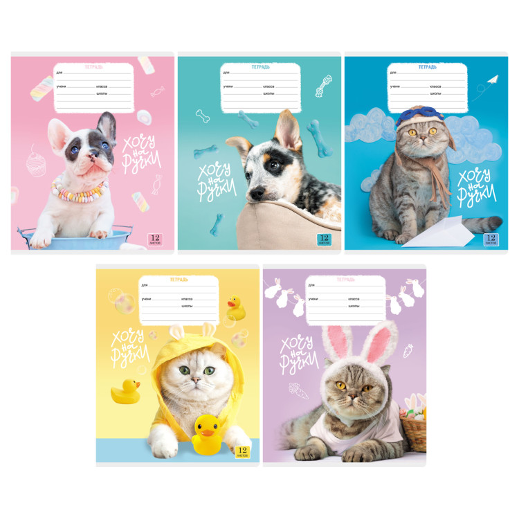 Тетрадь 12л., клетка BG "Кошечки-собачки", 30 штук, 364569